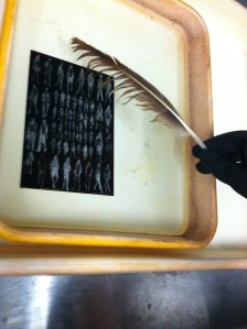 The delicate de-bubbling process.